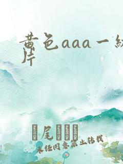 黄色aaa一级片