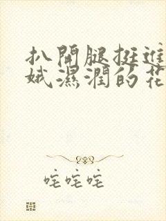 扒开腿挺进娄晓娥湿润的花苞