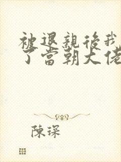 被退亲后我嫁给了当朝大佬 小说