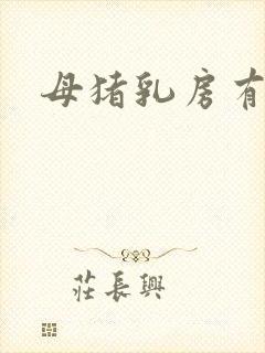 母猪乳房有几个