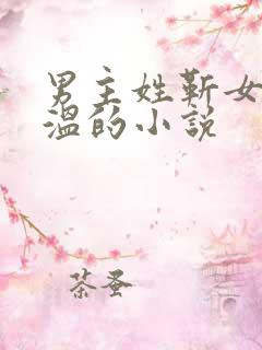 男主姓靳女主姓温的小说