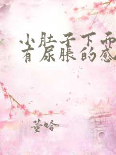 小肚子下面好像有尿胀的感觉