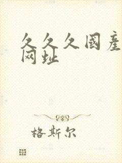 久久久国产精品网址