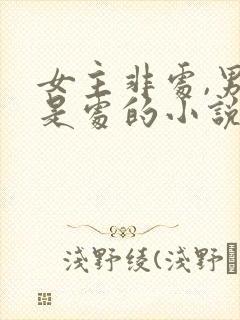 女主非处,男主是处的小说