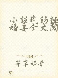 小说我的极品未婚妻全文阅读