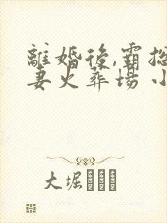 离婚后,霸总追妻火葬场 小说