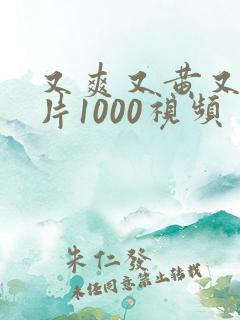 又爽又黄又色禁片1000视频