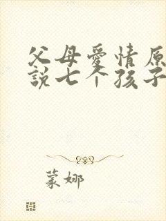 父母爱情原著小说七个孩子结局