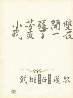 小芳张开双腿让我爽了一夜