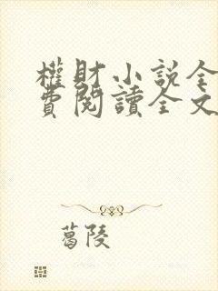 权财小说全文免费阅读全文