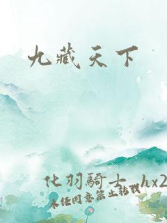 九藏天下