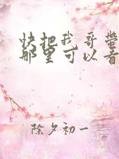 快把我哥带走在那里可以看