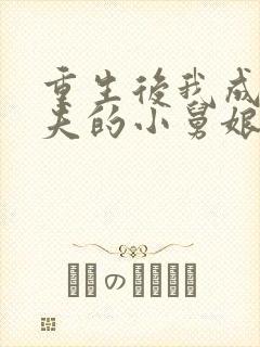 重生后我成了前夫的小舅娘免费