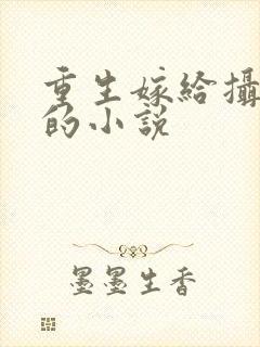 重生嫁给摄政王的小说