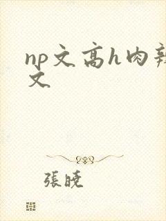 np文高h肉辣文