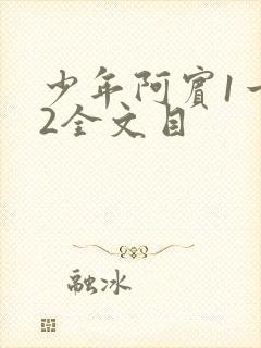 少年阿宾1一72全文目