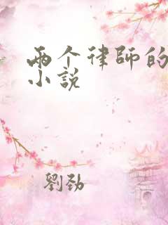 两个律师的言情小说