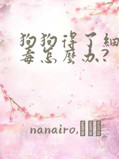 狗狗得了细小病毒怎么办?