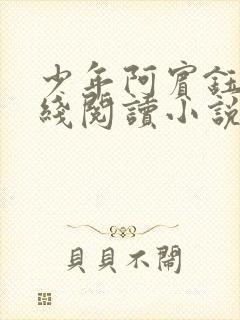 少年阿宾钰慧在线阅读小说