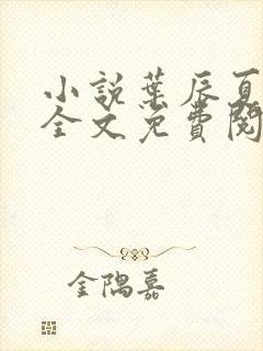 小说叶辰夏倾月全文免费阅读