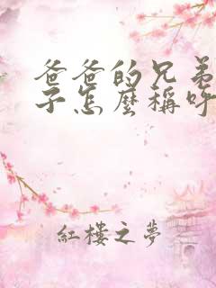 爸爸的兄弟的儿子怎么称呼