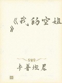 《我的空姐老婆》