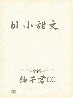 bl 小甜文