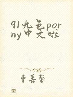 91九色porny中文啦