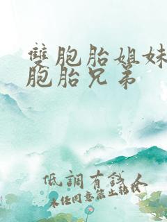 双胞胎姐妹和双胞胎兄弟