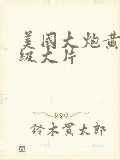 美国大炮黄色一级大片