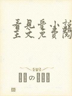 看见爱小说双男主文免费阅读全文