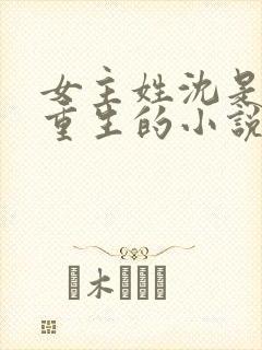 女主姓沈是贵妃重生的小说