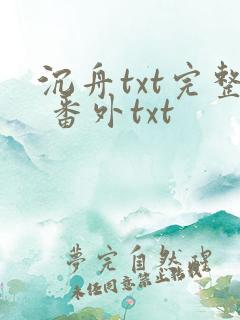 沉舟txt完整 番外txt