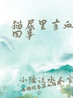 猫尿里有血怎么回事