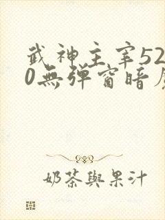 武神主宰5200无弹窗暗魔师