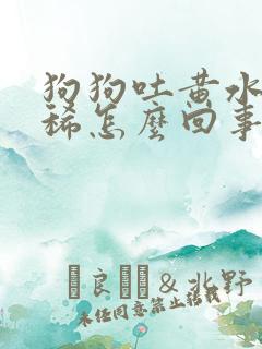 狗狗吐黄水不拉稀怎么回事