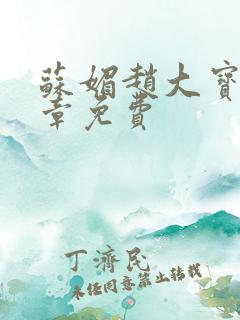 苏媚赵大宝第六章免费