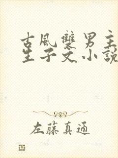 古风双男主超虐生子文小说