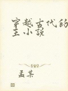 穿越古代的双男主小说