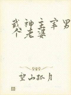 武神主宰男主几个老婆