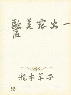 欧美露出一区二区