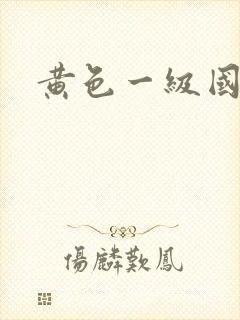 黄色一级国产片