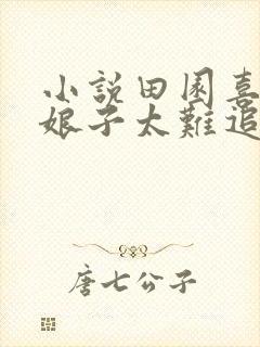 小说田园喜嫁之娘子太难追全文阅读