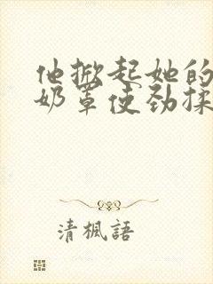 他掀起她的蕾丝奶罩使劲揉小说