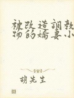 被改造调教成玩物的娇妻小说