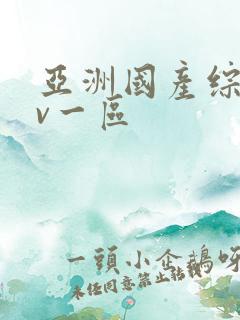 亚洲国产综合av一区