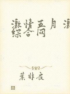 激情五月 激情综合网