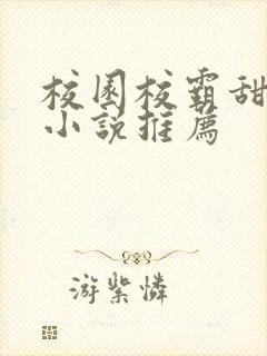 校园校霸甜宠文小说推荐