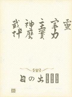 武神主宰灵武王什么实力