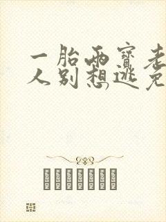 一胎两宝老婆大人别想逃免费阅读